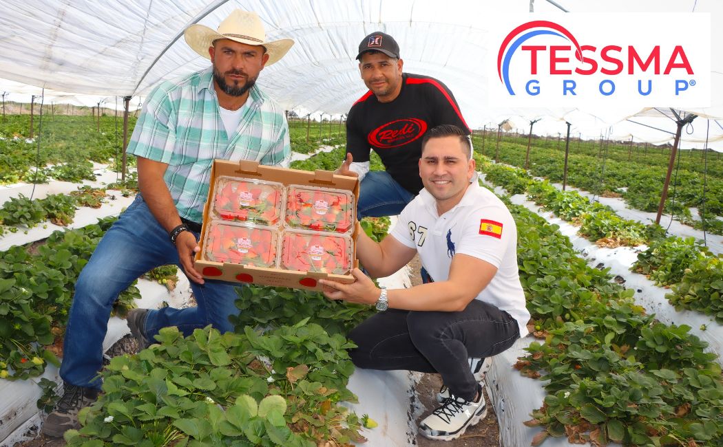 Equipo de Tessma Group