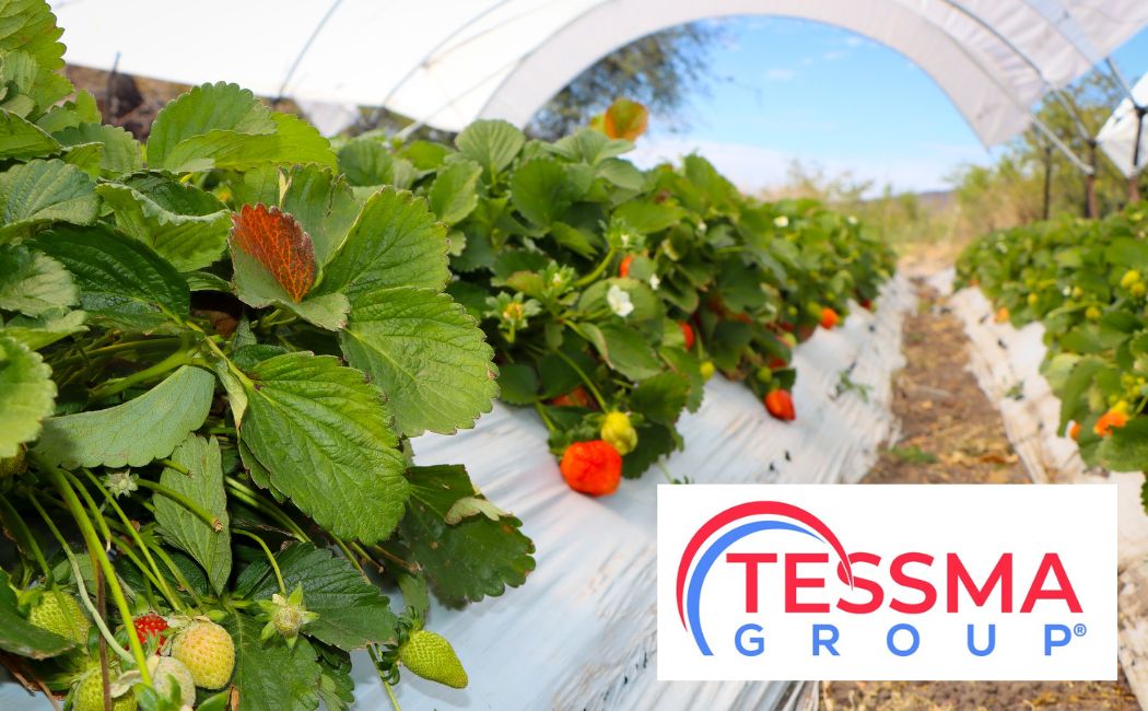 Welcome to Tessma Group. Bienvenido a Tessma Group.